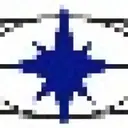 Northstarnm logo