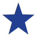 Stellar Solutions logo