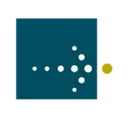 Savantage Solutions logo