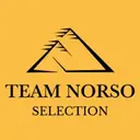 Team Norso logo