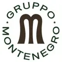Gruppo Montenegro logo