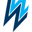 WEL Networks logo