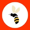Haines logo