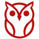 NightOwl Consulting logo