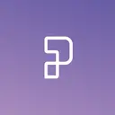 Puntonet S.A. logo
