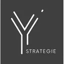 Y Strategie logo