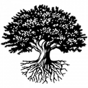 Studentclearinghouse logo