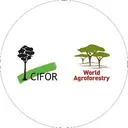 Cifor logo
