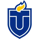 Touro logo