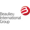 Bintg logo