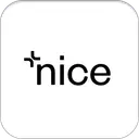 Nicetomeetyou logo