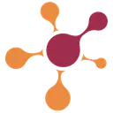 Calsoft Systems logo