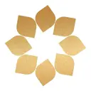 Solaris Health Holdings logo