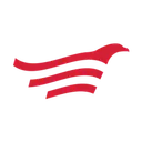 Town Web logo