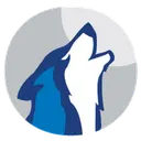 Wolf Consulting, LLC logo