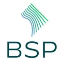 Boundary Stone Partners logo