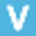 Verathon logo