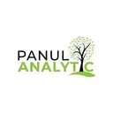 Panul Analytic logo