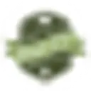 Willow Springs, MO logo