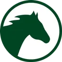 Dark Horse Consulting Group logo