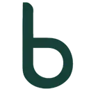 bluehands GmbH & Co.mmunication KG logo