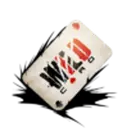 Studio Wildcard logo