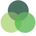 Shively Diversified Management Services logo