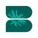 Brightside Collective logo