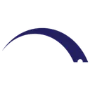 Strong Bridge logo