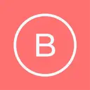 Berry Virtual logo