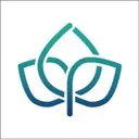 IVY Partners logo