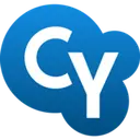 CY Partners logo