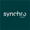 Synchro by egor logo