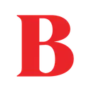 BIG Language Solutions logo