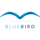 BLUEBIRD Consulting AG logo