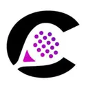 The Padel City GmbH logo