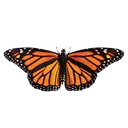Monarch logo