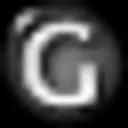 Lee Health logo