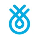 Flinks logo