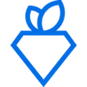 Rare Carat logo