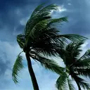 Arcus Consulting Group LLC logo