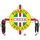 PCI GS logo