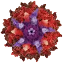 Asklepios BioPharmaceutical, Inc. (AskBio) logo