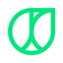 Rainforest Life logo