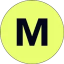 Motivus logo