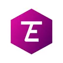 TeamEx logo