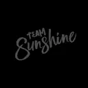 Team Sunshine Construction, LLC logo