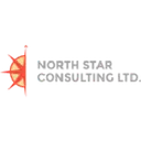 North Star Consulting logo