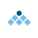 Management Solutions International (MSI) logo
