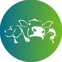 Pasado's Safe Haven logo